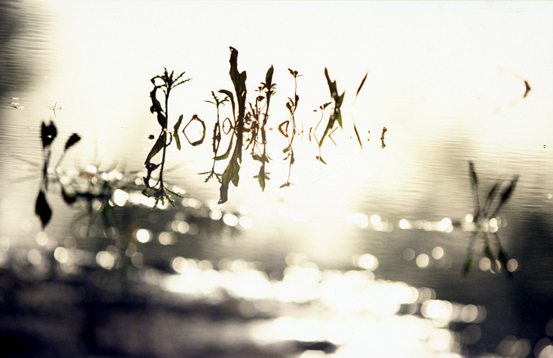 Etang