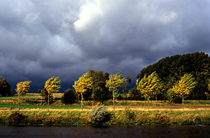 Le long du canal