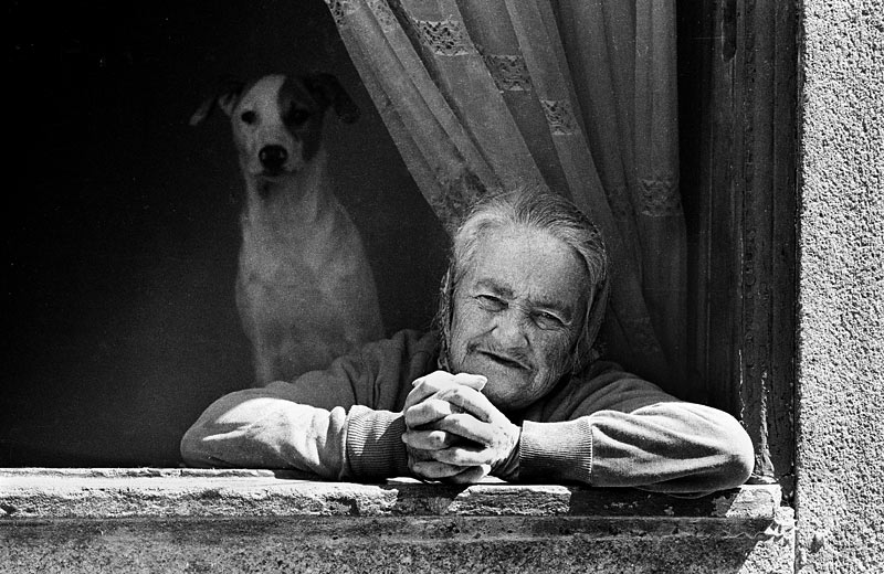 La portugaise au chien