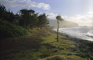 Chemin du littoral - Saint-Denis de la Runion