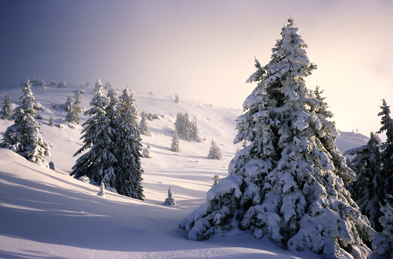 Montagne de Sous-Dine aprs la tempte