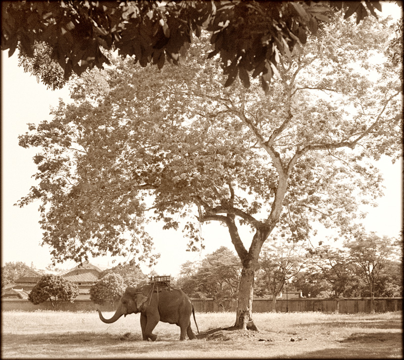 Vietnam, 2005