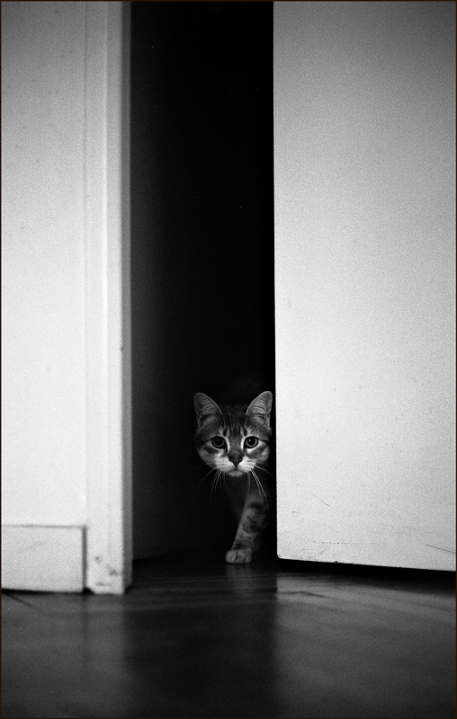 Intrusion