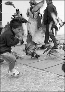 Les pigeons de Beaubourg