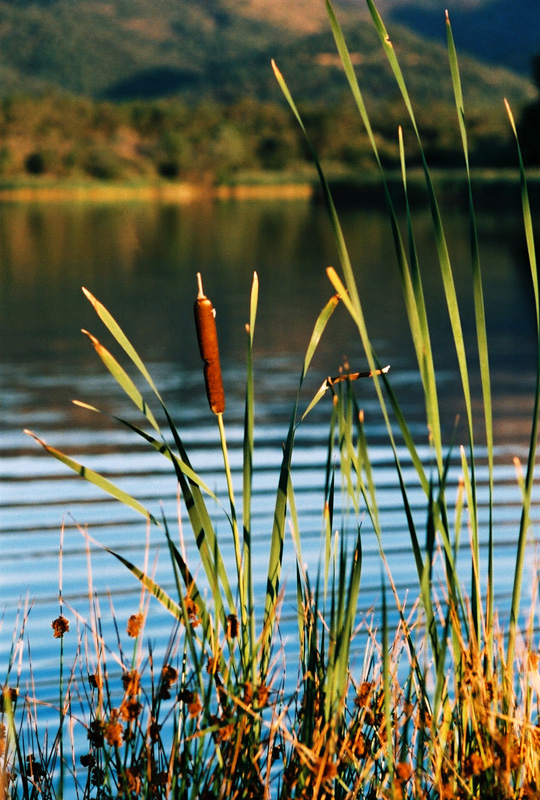 Lac des Escarcets
