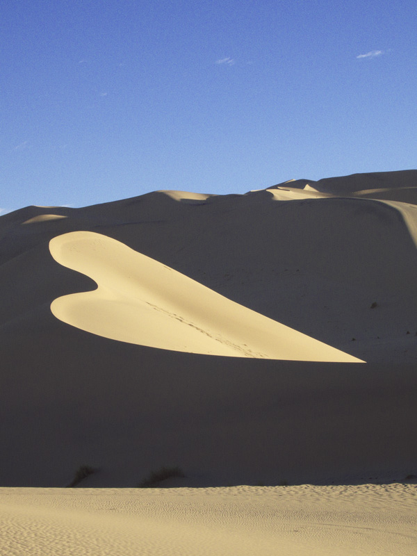Cur de sable