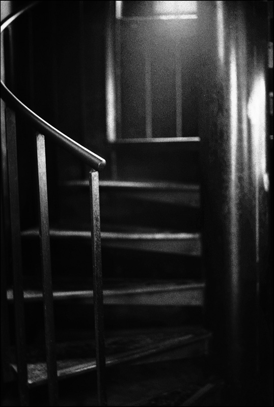 L'Escalier du chteau, Gruyres 2008