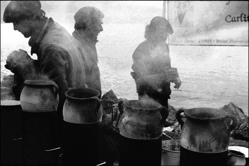 Les marroniers, Montreux 2007