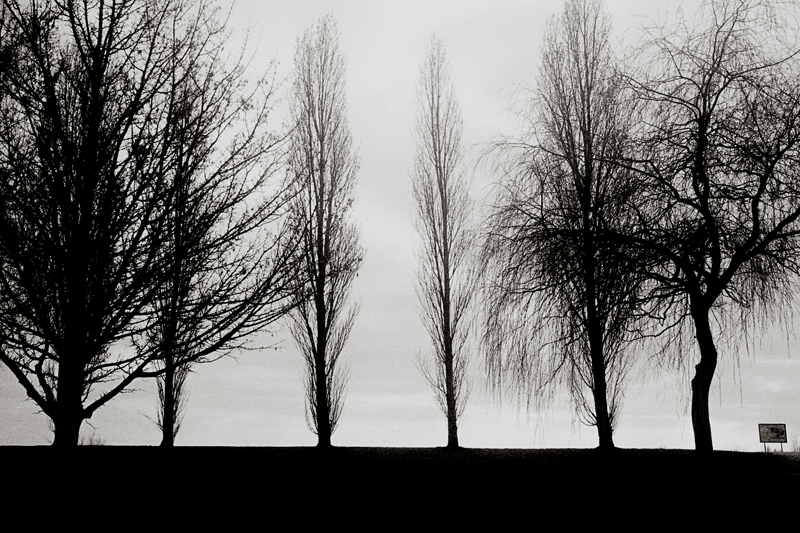 Digue, lac du Der, fvrier 2008