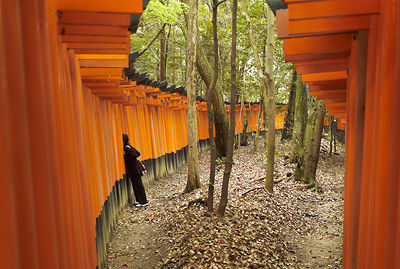 Deux alles de toriis au temple de Fushimi Inari  Kyoto (Japon), avec collgien jouant  cache-cache.