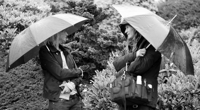 ...deux petits coins de parapluie...