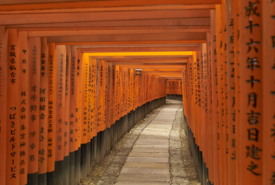 Alle de toriis au temple de Fushimi Inari  Kyoto (Japon).