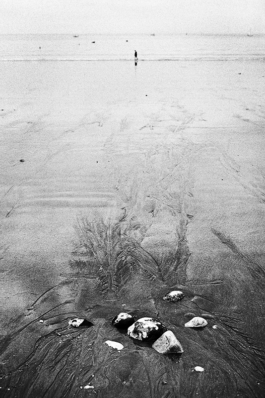 Plage du Havre - juin 2009