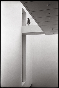 New York MoMA