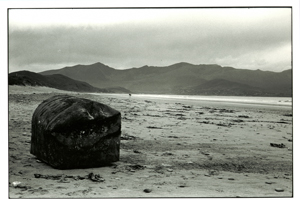 couple au loin � et la Chose