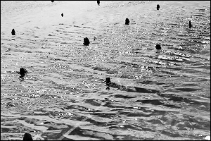 de la g�om�trie en toutes choses