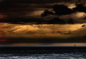 Avis de grain...