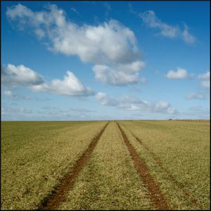 En  route  vers  le  printemps  