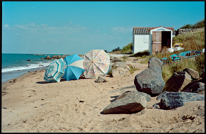Parasols