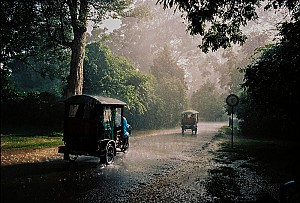 Soudainement la pluie