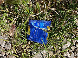 Apr�s....tel un ex voto