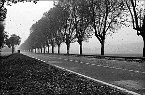 De la pluie, du vent et des feuilles sur la nationale