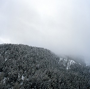 Montagne dans le brouillard