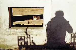 Eye contact with a shadow