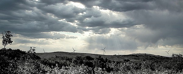 Ecologie, la grande arnaque