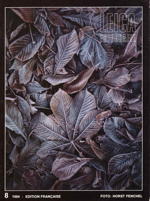8/1984